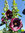 Schwarze Stockrose | Aleca / Althaea rosea var nigra | Bioland